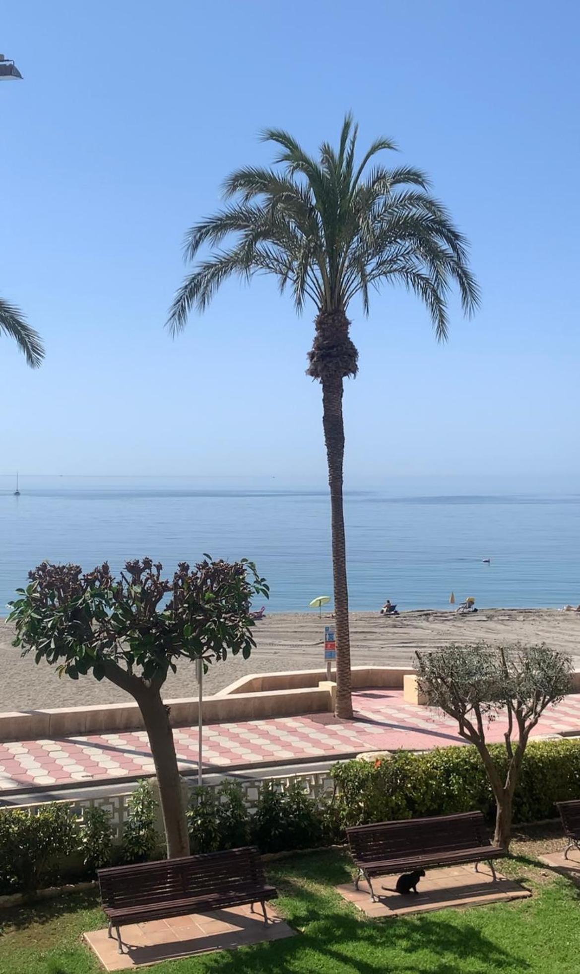 Brisas Del Mar Mediterraneo Aguadulce  Bagian luar foto